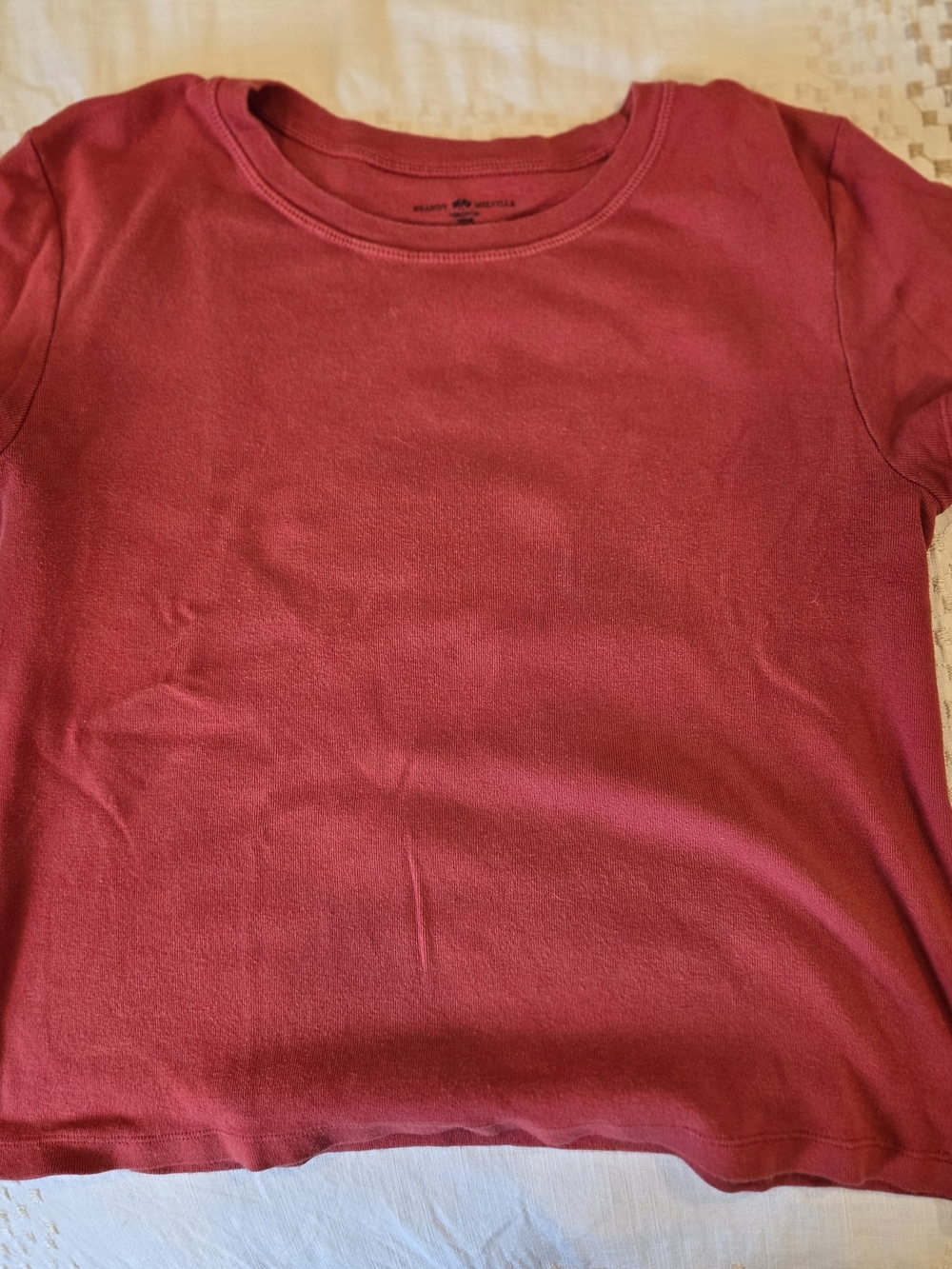 Brandy Melville Wine Red Short Sleeve Tee